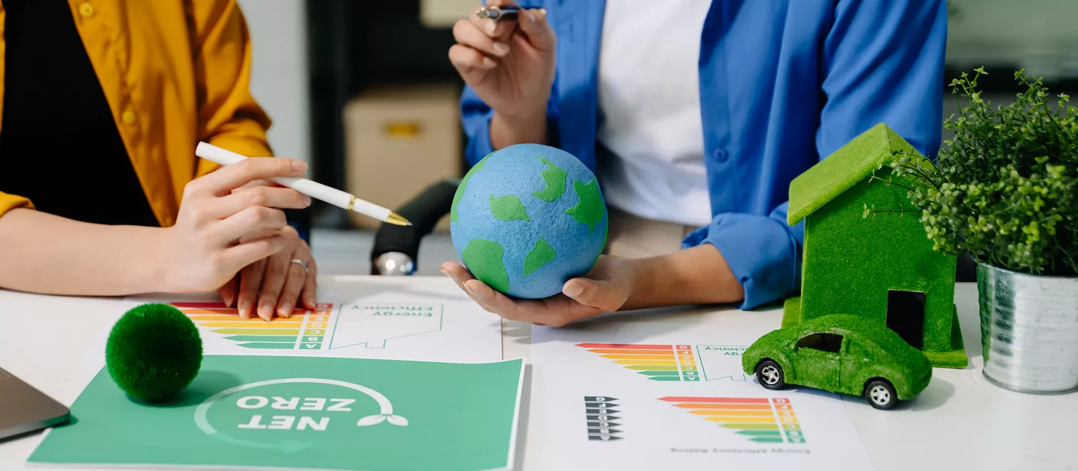 The Decarbonisation Roadmap
