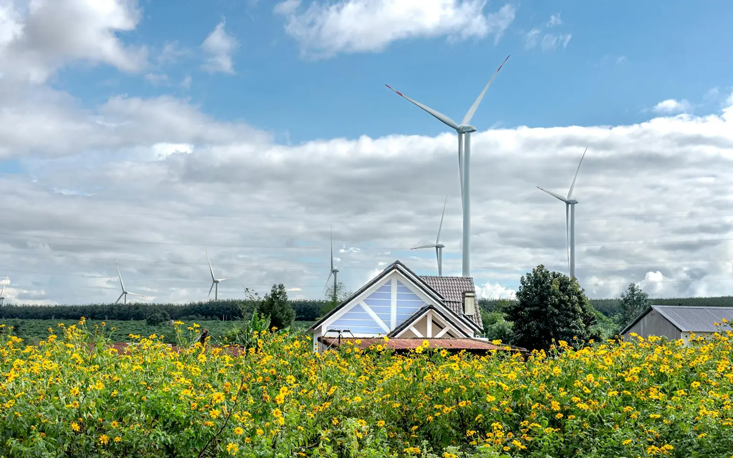 Support for Carbon Neutral Scenario Development in Asia