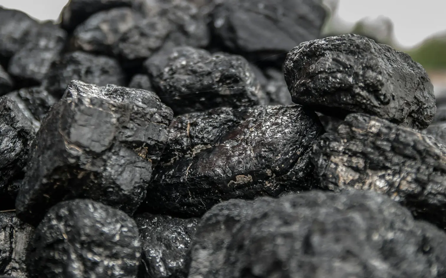 Asia Carbon Capture, Utilisation, and Storage Network Activities