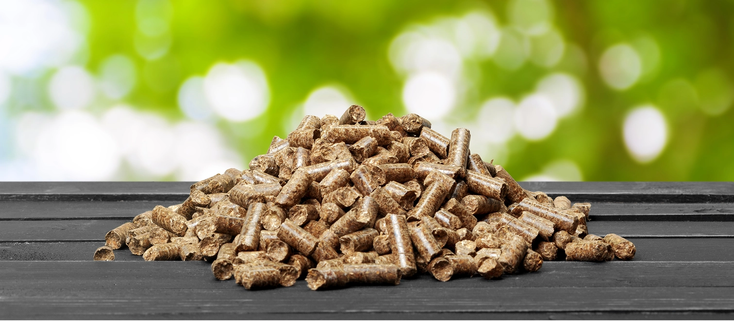 Biomass Biofuels